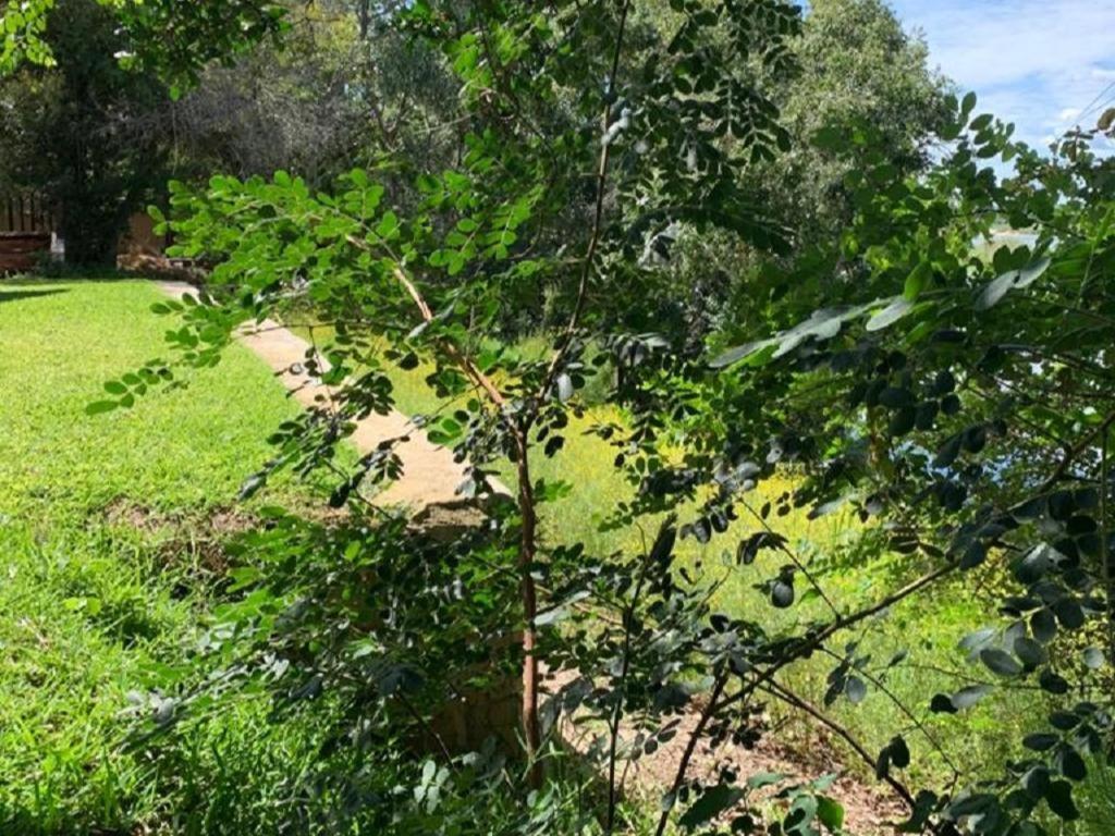 קטימה מולילו Juda Haus Lodge מראה חיצוני תמונה
